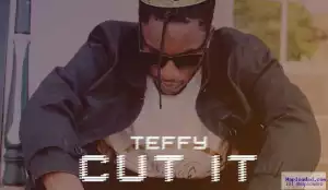 Teffy - Cut It